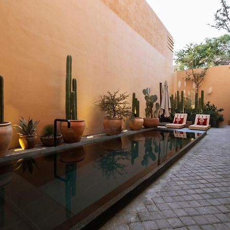 Macondo Arte Oaxaca Buitenkant foto